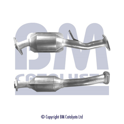 BM Catalysts BM90666