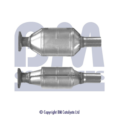 BM Catalysts BM90389H