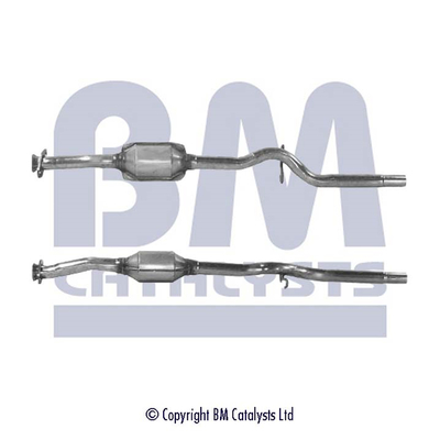 BM Catalysts BM90079