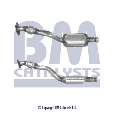 BM Catalysts BM80119