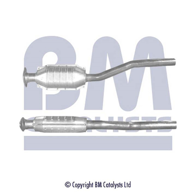 BM Catalysts BM80100