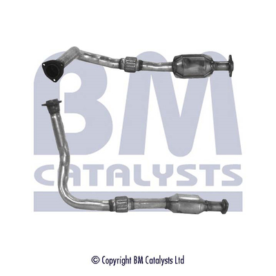 BM Catalysts BM80028