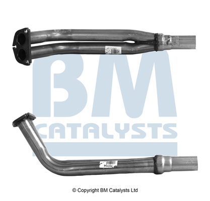 BM Catalysts BM70704