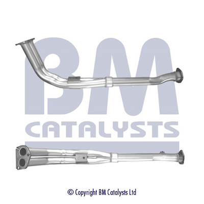 BM Catalysts BM70679K