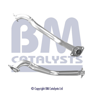 BM Catalysts BM70674K