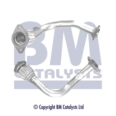 BM Catalysts BM70595K