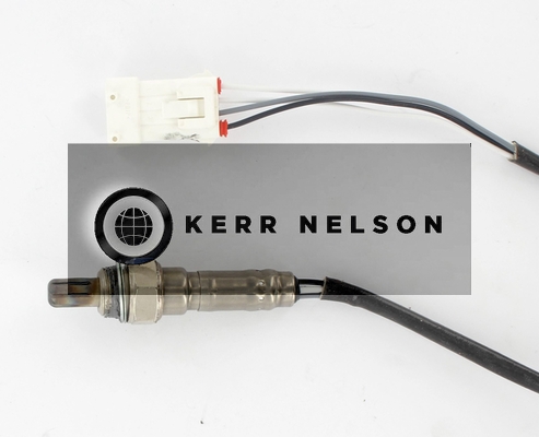 Kerr Nelson KNL011