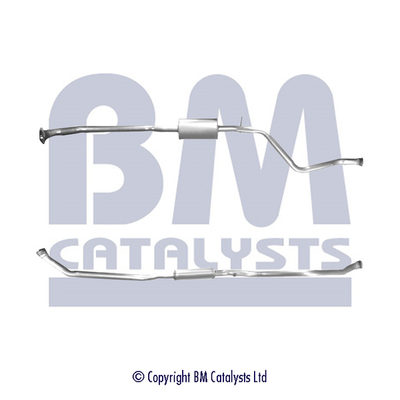 BM Catalysts BM70579