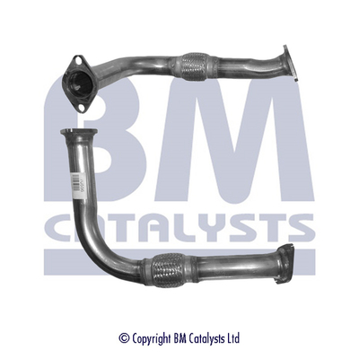 BM Catalysts BM70556K