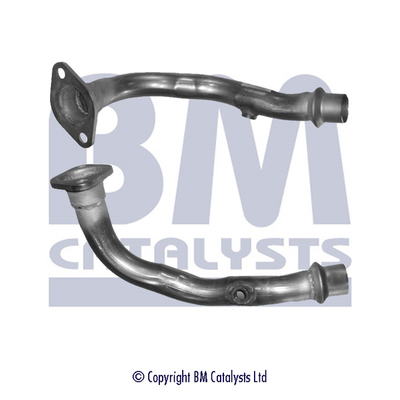 BM Catalysts BM70554