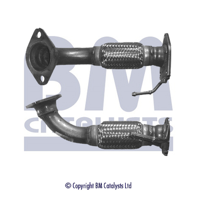 BM Catalysts BM70491K