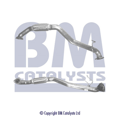 BM Catalysts BM70443