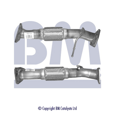 BM Catalysts BM70419K