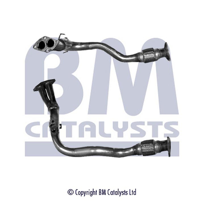 BM Catalysts BM70395K