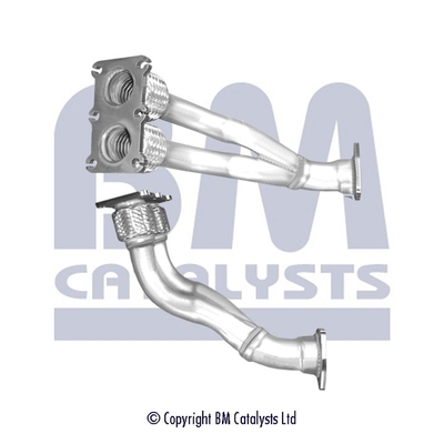 BM Catalysts BM70325