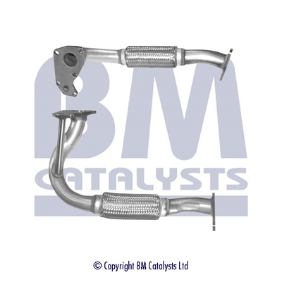 BM Catalysts BM70307