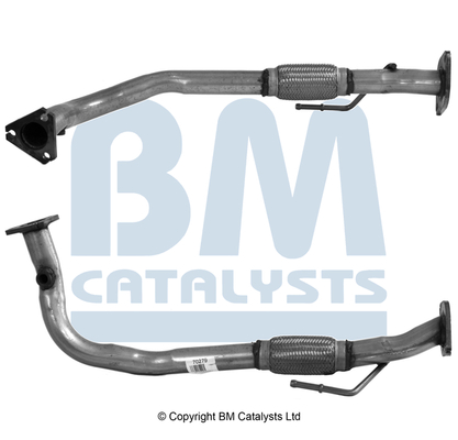 BM Catalysts BM70279K