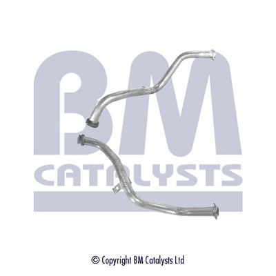 BM Catalysts BM70267K