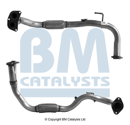 BM Catalysts BM70248K