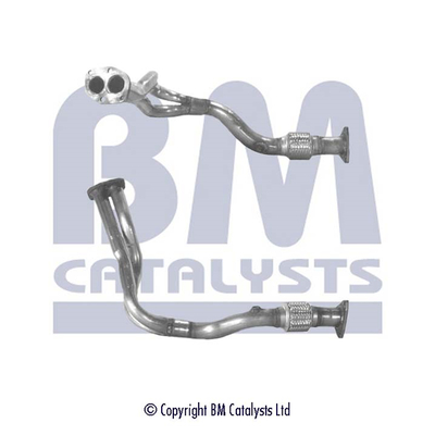 BM Catalysts BM70210K