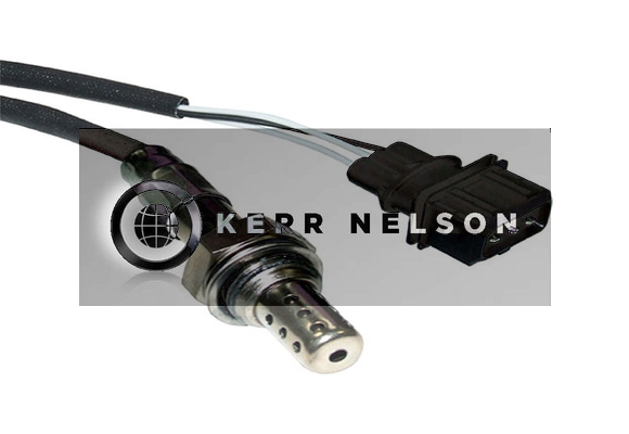 Kerr Nelson KNL039