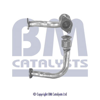 BM Catalysts BM70189K