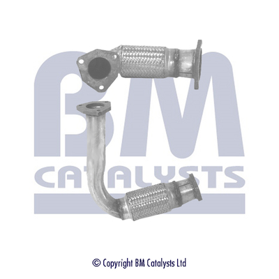 BM Catalysts BM70121K