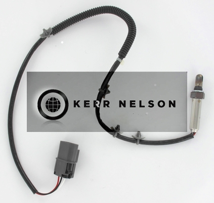 Kerr Nelson KNL046