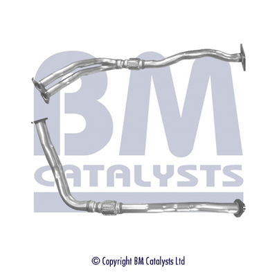 BM Catalysts BM70097K