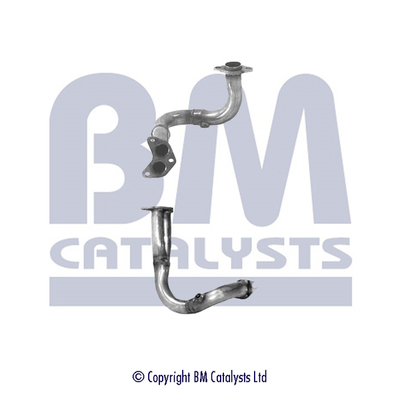 BM Catalysts BM70081K