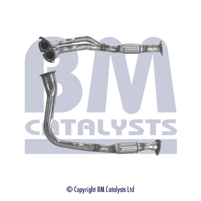 BM Catalysts BM70067K