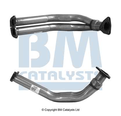 BM Catalysts BM70066K