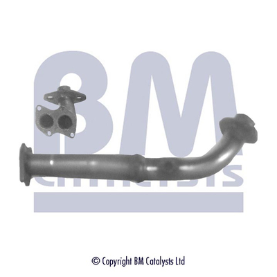 BM Catalysts BM70029K