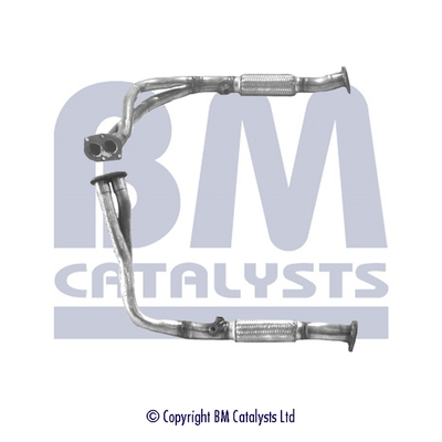 BM Catalysts BM70013