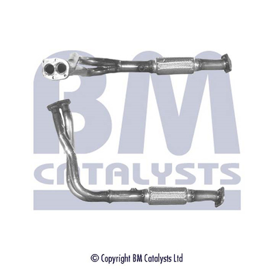 BM Catalysts BM70012K