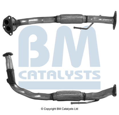 BM Catalysts BM70010K