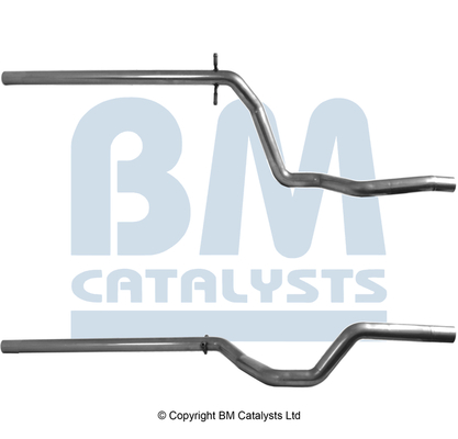 BM Catalysts BM51069K