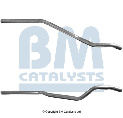 BM Catalysts BM51012