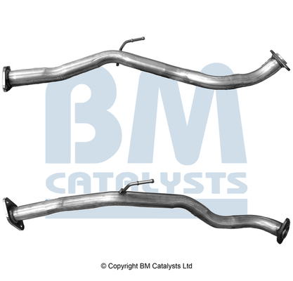 BM Catalysts BM50981