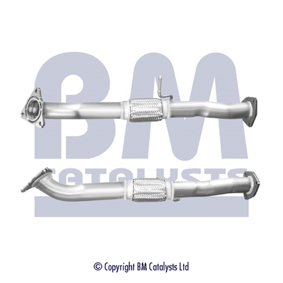 BM Catalysts BM50963