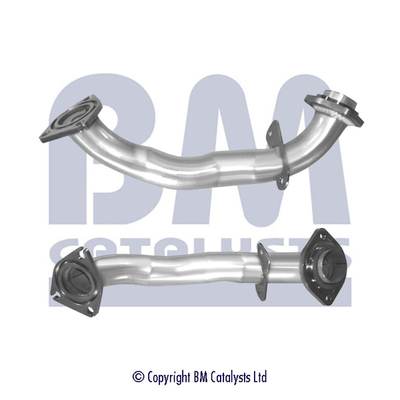 BM Catalysts BM50898