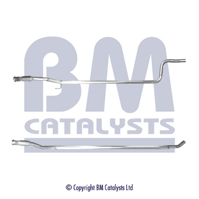 BM Catalysts BM50843