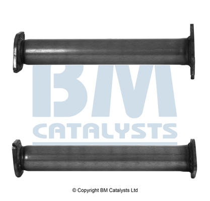 BM Catalysts BM50833K