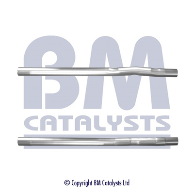 BM Catalysts BM50743