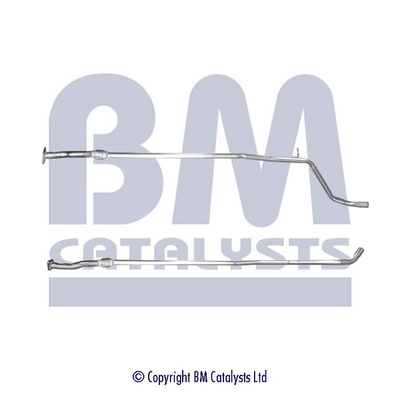 BM Catalysts BM50739