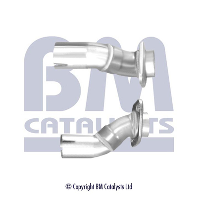 BM Catalysts BM50728K