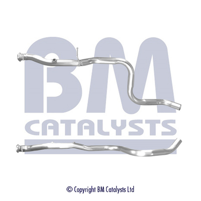 BM Catalysts BM50721