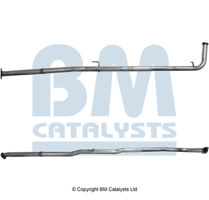 BM Catalysts BM50679