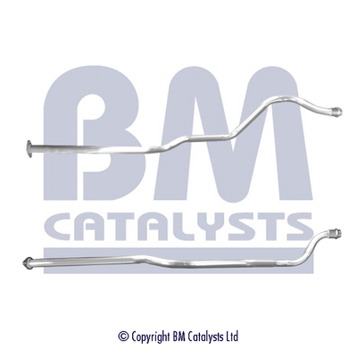 BM Catalysts BM50673