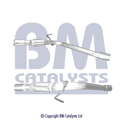 BM Catalysts BM50665